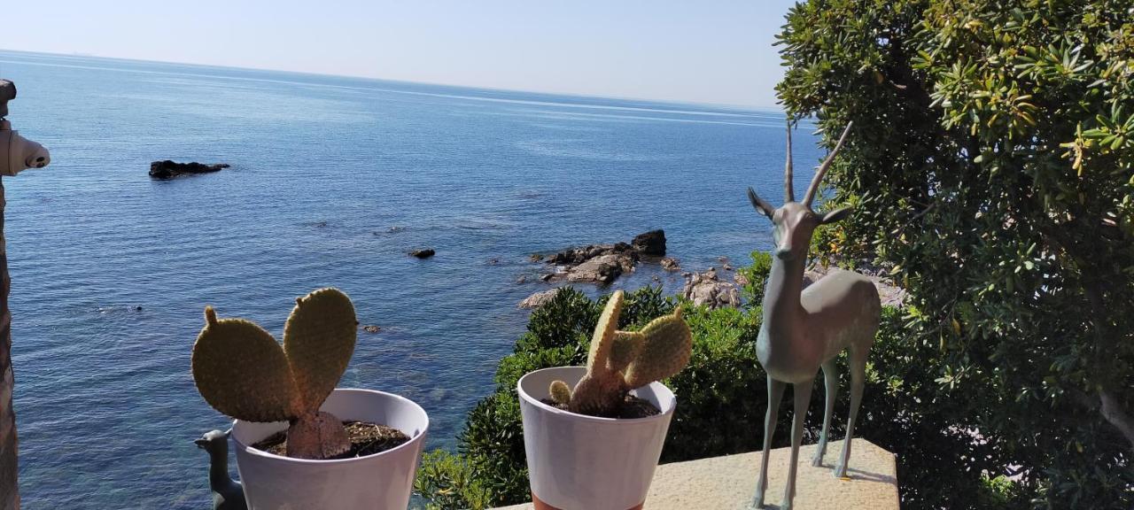 Casa Di Zuzzi Daire Recco Dış mekan fotoğraf
